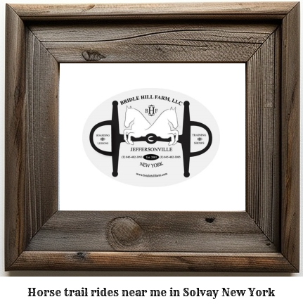 horse trail rides near me in Solvay, New York